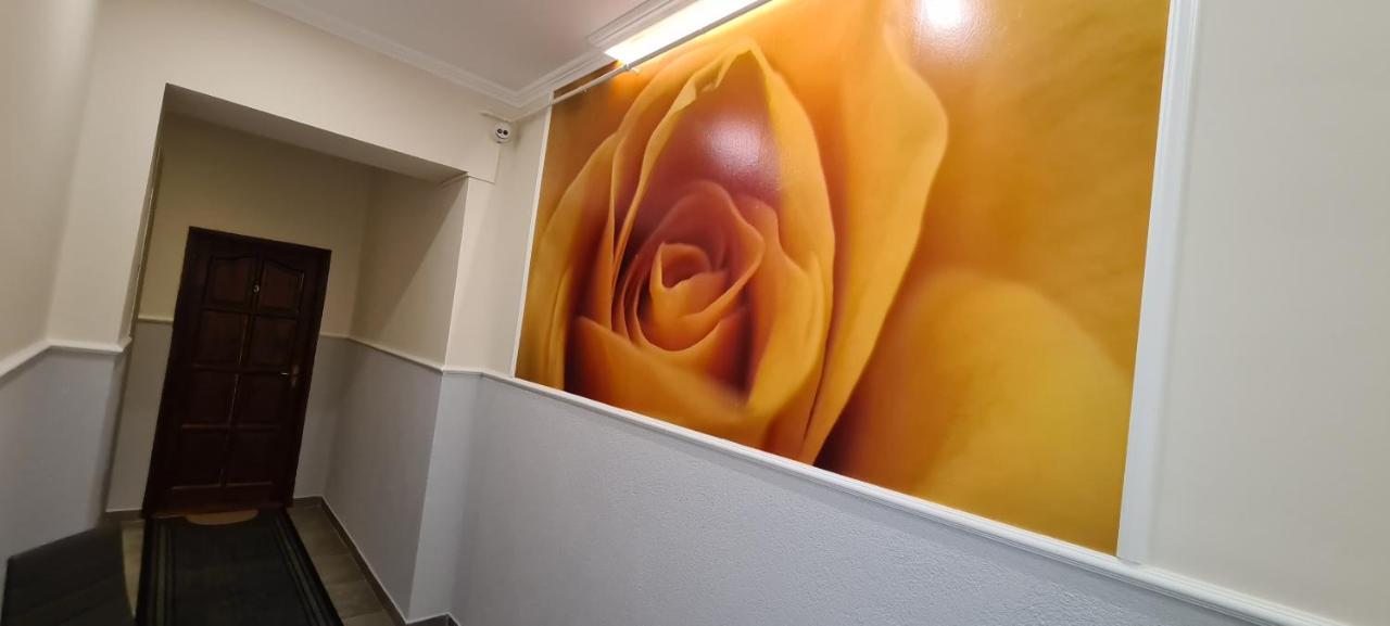 סגד Rozsa Apartmanhaz מראה חיצוני תמונה