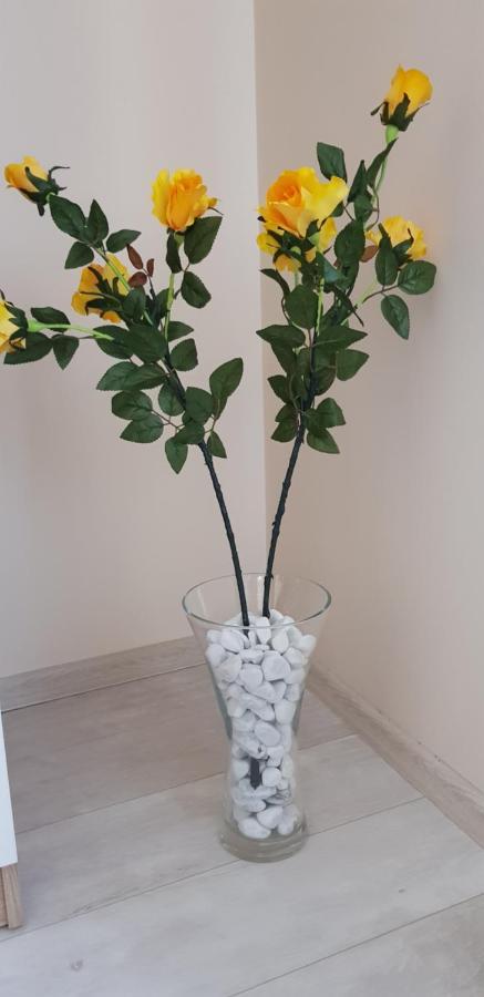 סגד Rozsa Apartmanhaz מראה חיצוני תמונה